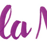 Logo Nella Nixe